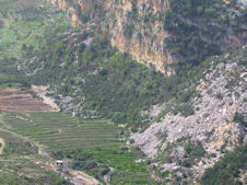 Wadi Kadisha