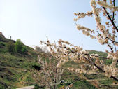 Wadi Kadisha
