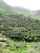Wadi Kadisha